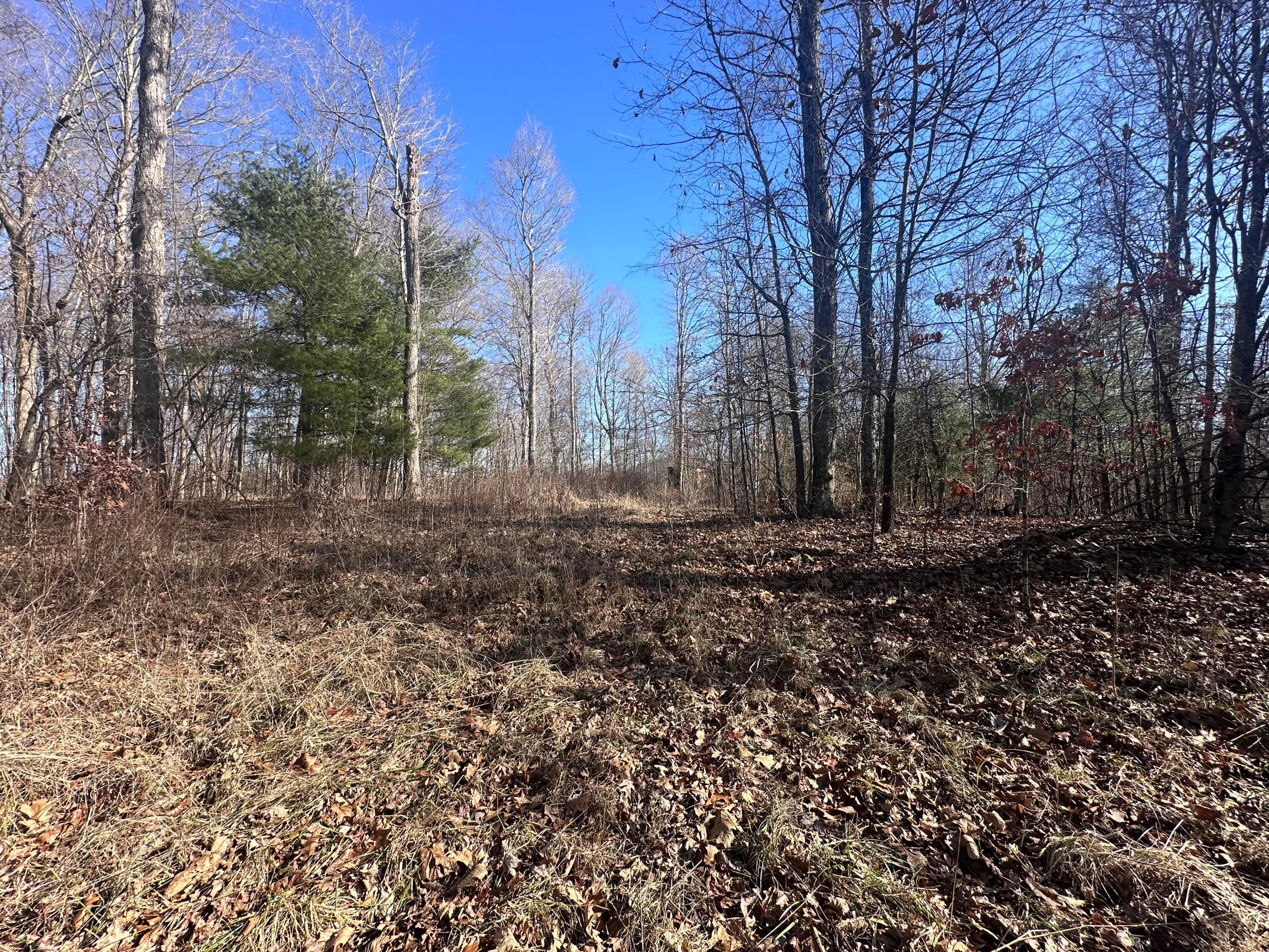 2922 East Branch Road Malta, OH 43758 - Photo 5 of 19 IMG_5935