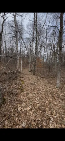 $99,000 | Tbd Big Pine Trail, Crosslake, MN 56442