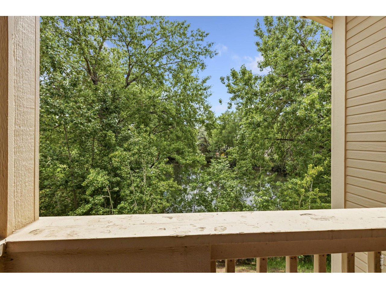 1225 West Prospect Road, Unit W103 Fort Collins, CO 80526 - Photo 5 of 50
