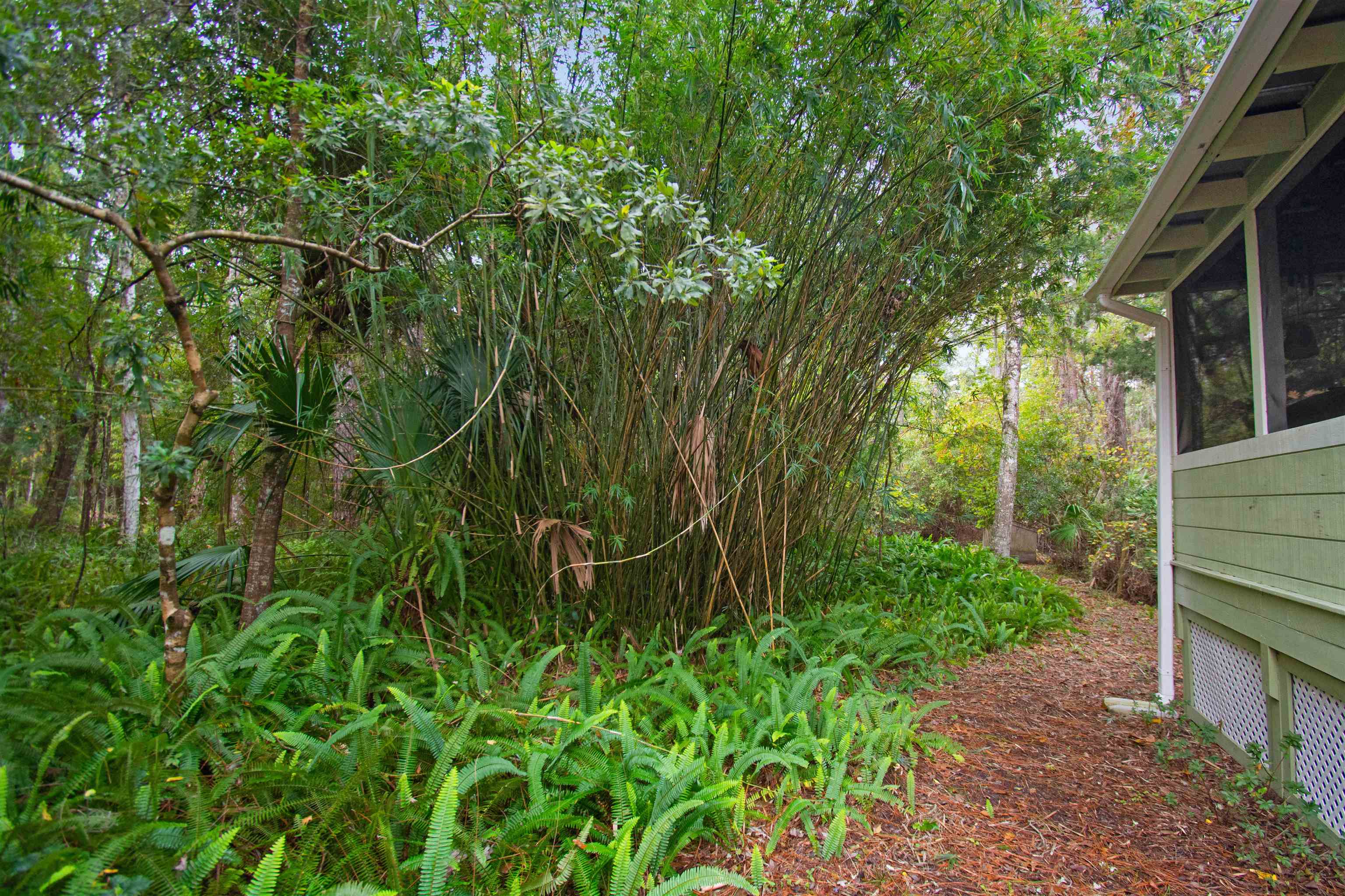 3021 Green Acres Road St. Augustine, FL 32084 - Photo 29 of 29 Gallery Image 29