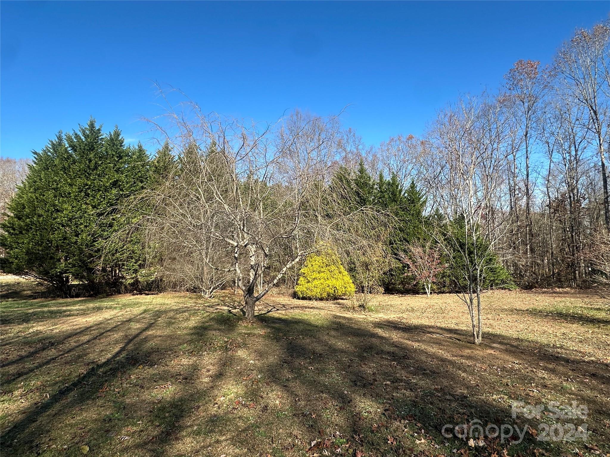 344 Fletcher Road Union Grove, NC 28689 - Photo 3 of 24 Gallery Image 3