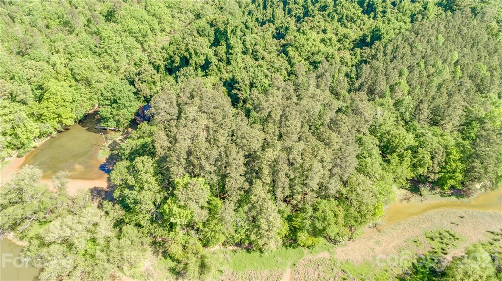 5349 Charlotte Highway Lake Wylie, SC 29710 - Photo 34 of 35 a view of a yard with a tree