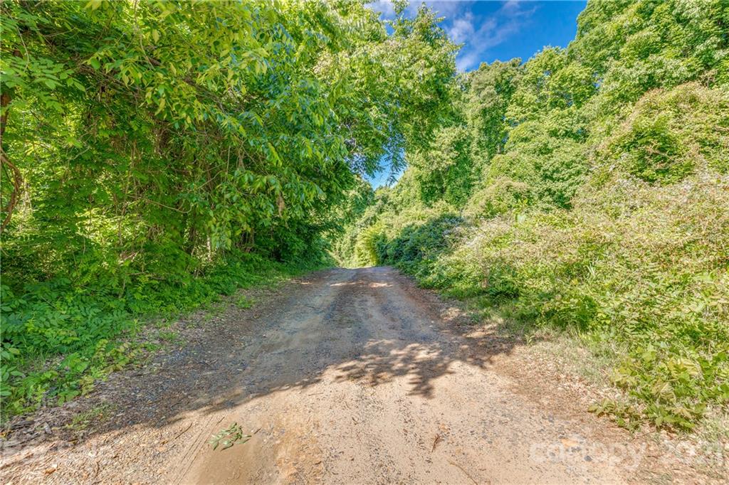 5349 Charlotte Highway Lake Wylie, SC 29710 - Photo 5 of 35 a view of a yard with plants and a trees