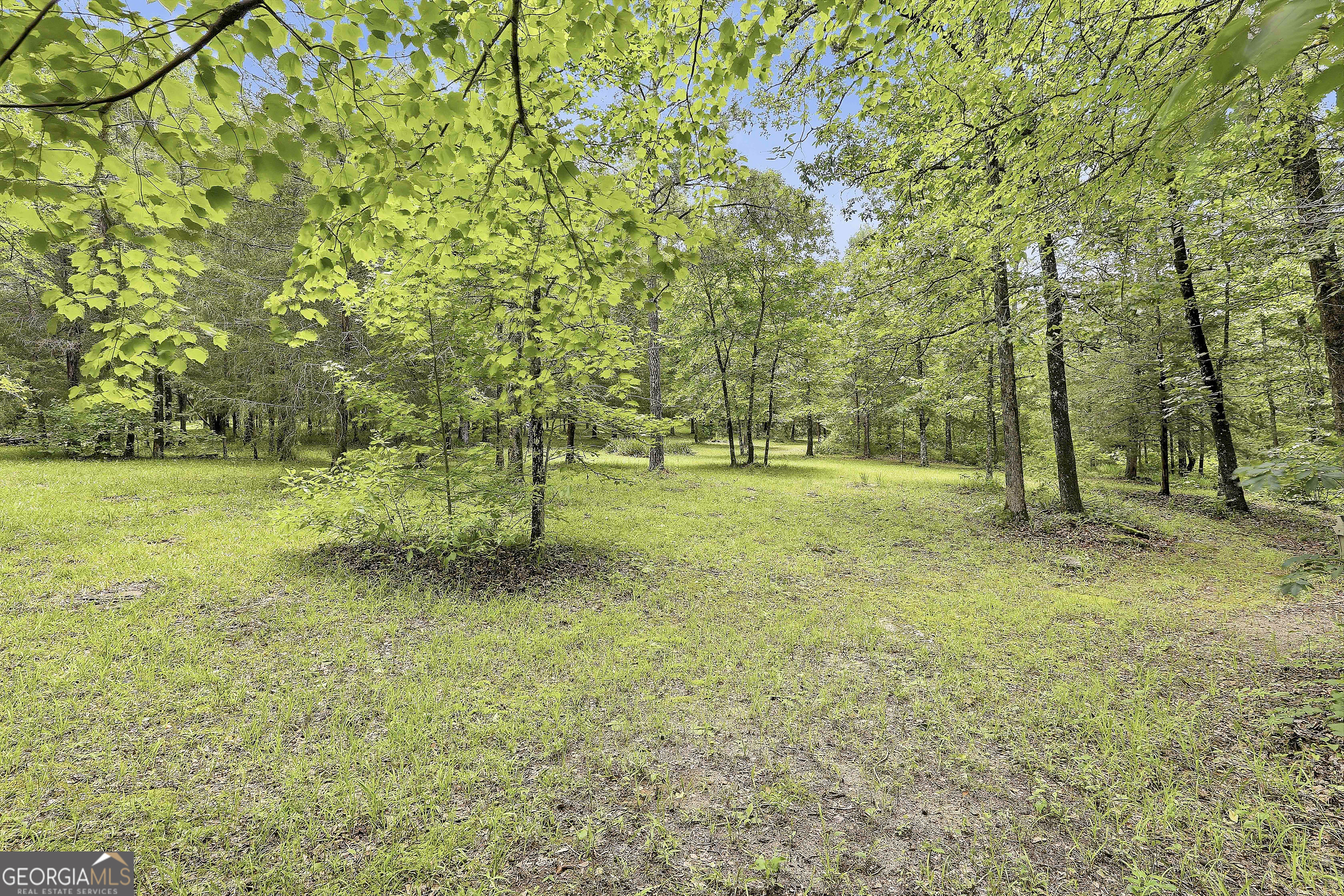 207 Steeplechase Barnesville, GA 30204 - Photo 50 of 78