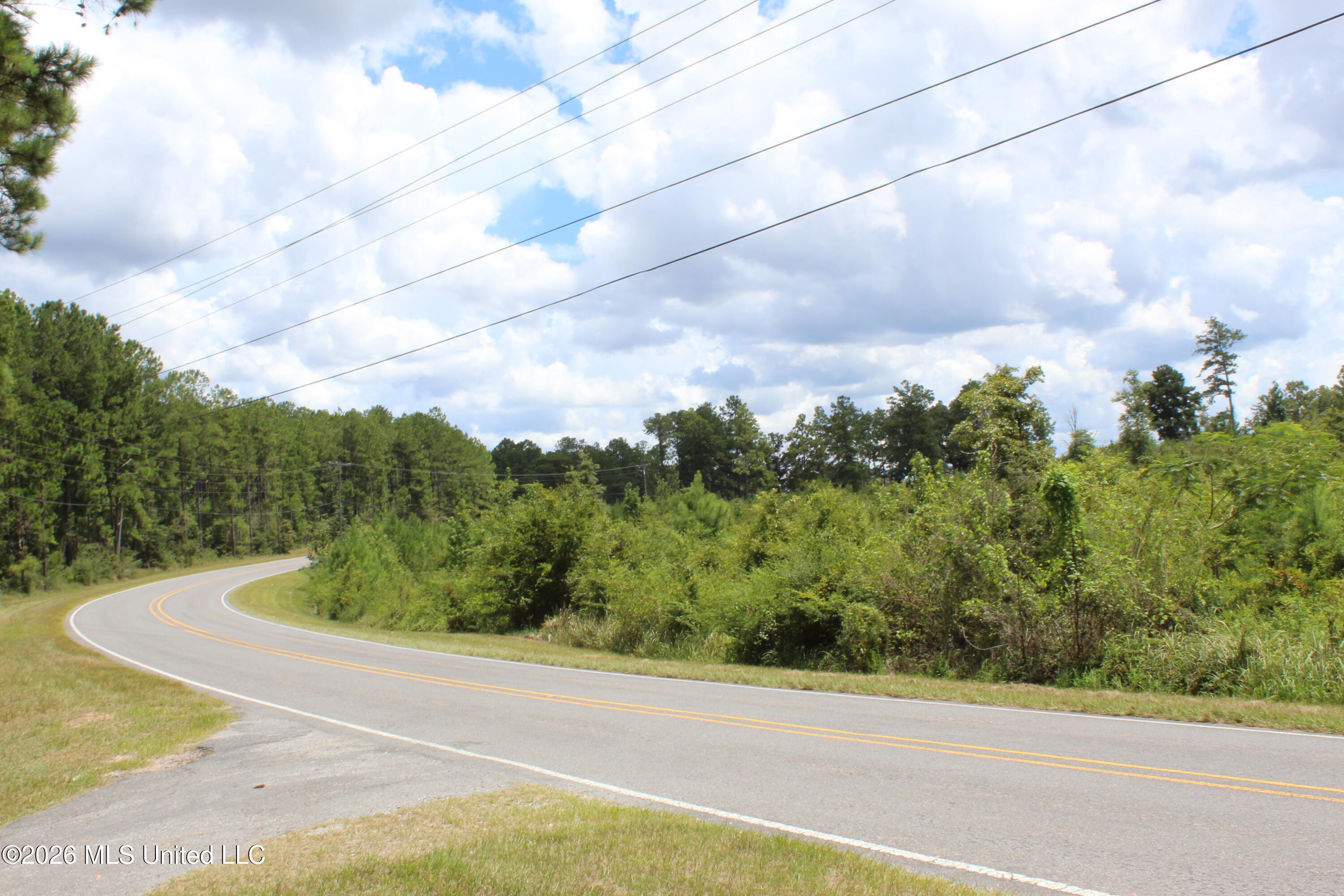 6.4-acres Beaver Dam Road Lucedale, MS 39452 - Photo 1 of 5 IMG_4198