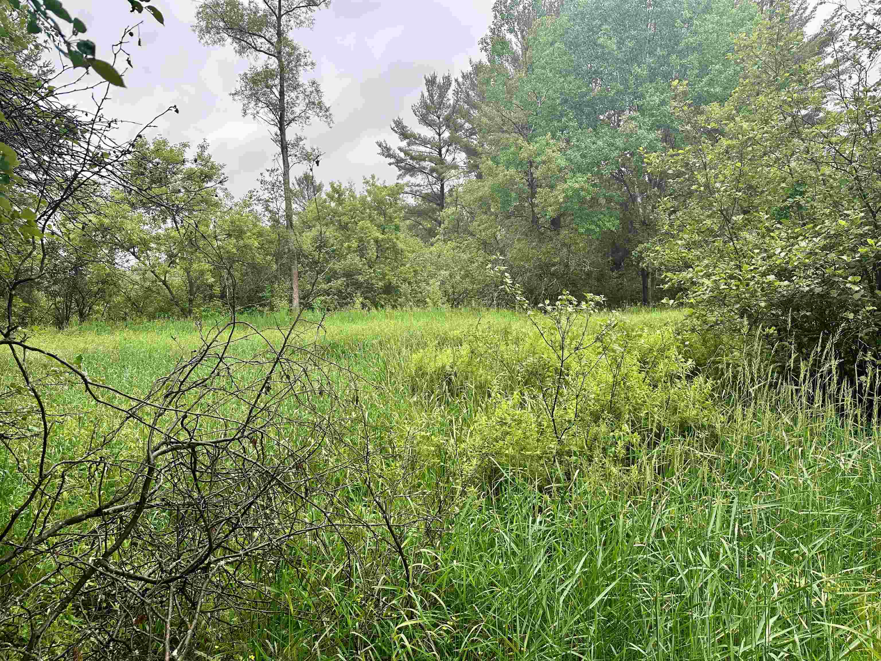 10334 37 1/2 Road Cadillac, MI 49601 - Photo 32 of 42 Gallery Image 32