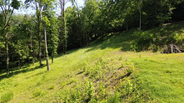 a view of yard with green space
