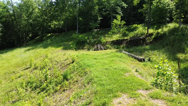 a backyard of a house with lots of green space