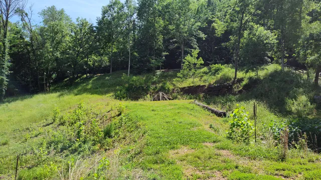 a view of yard with green space