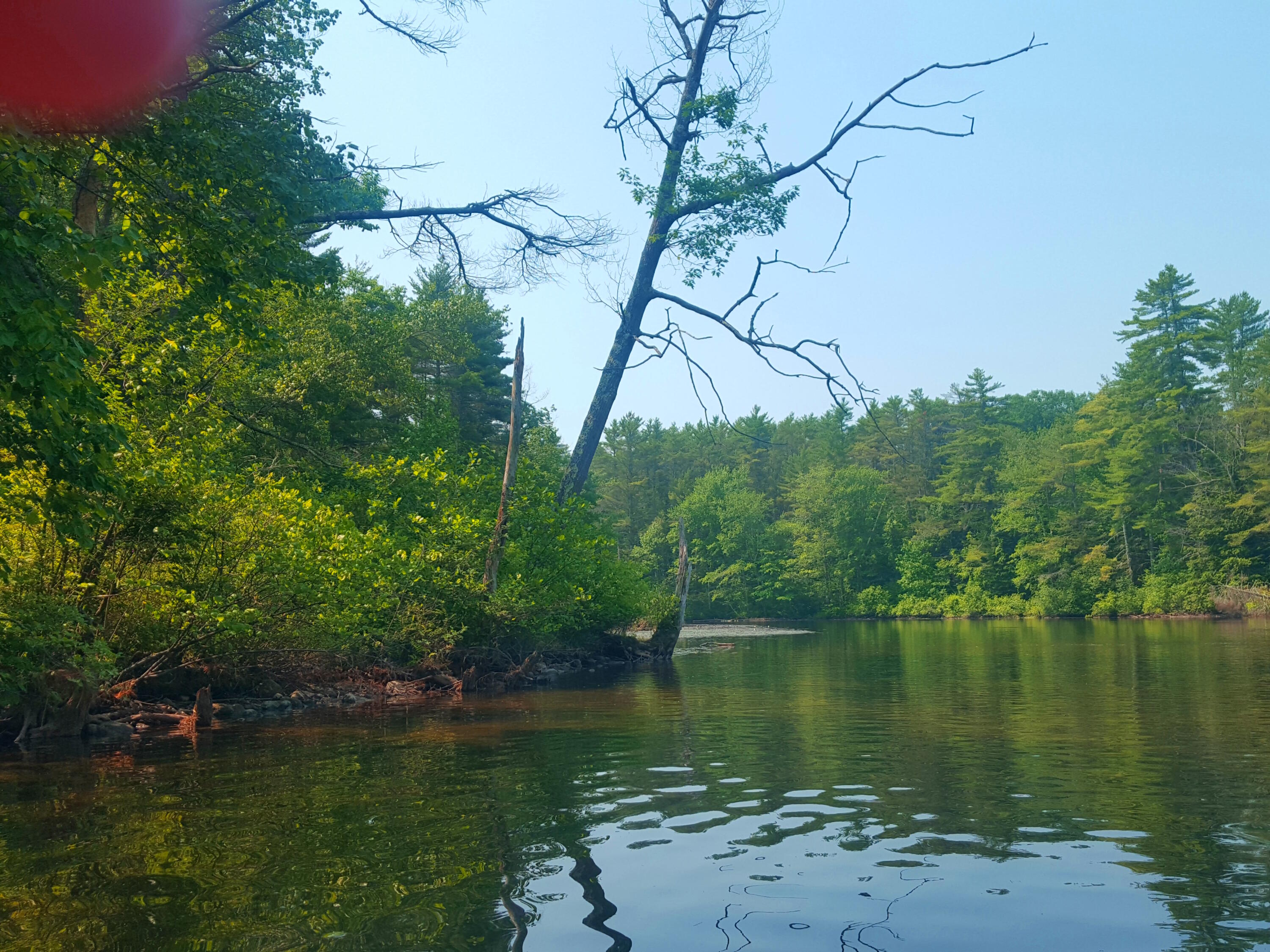 594 River Road Windham, ME 04062 - Photo 39 of 43 River