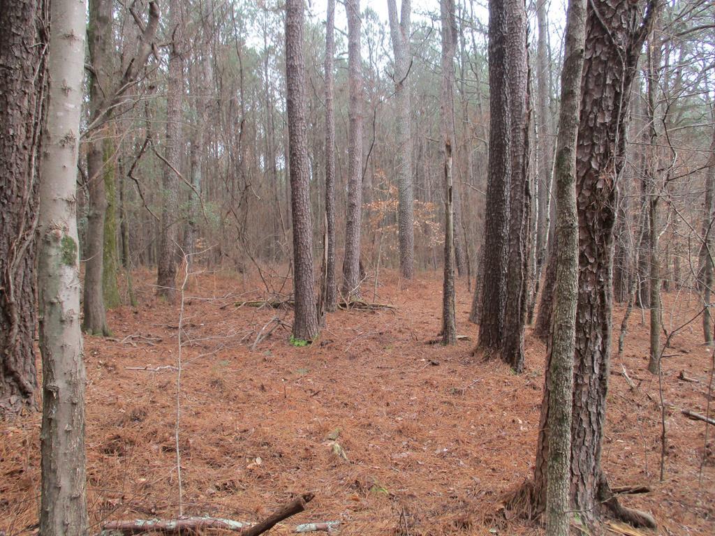 2609 Dug Gap Road Dalton, GA 30720 - Photo 1 of 9 Main View