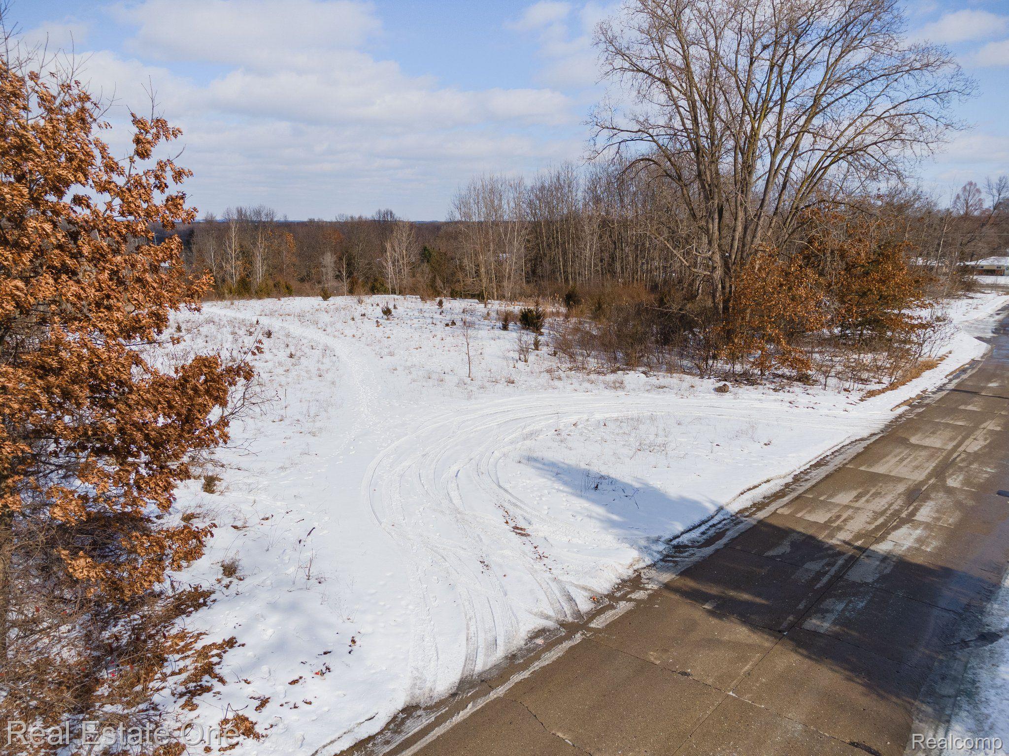 0 Williams Lake Road White Lake, MI 48386 - Photo 4 of 13