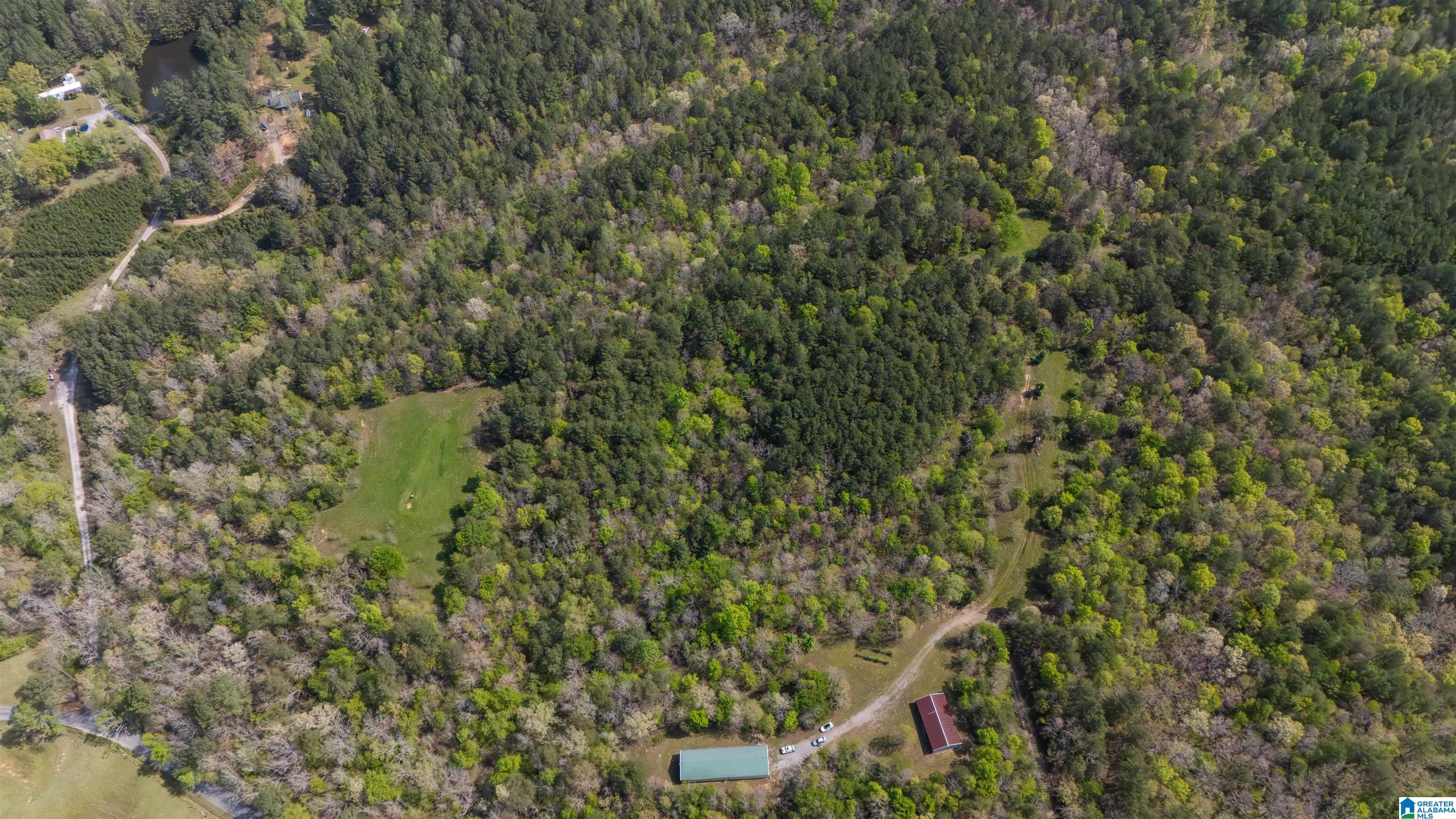 2121 Center Hill Road Trafford, AL 35172 - Photo 57 of 100