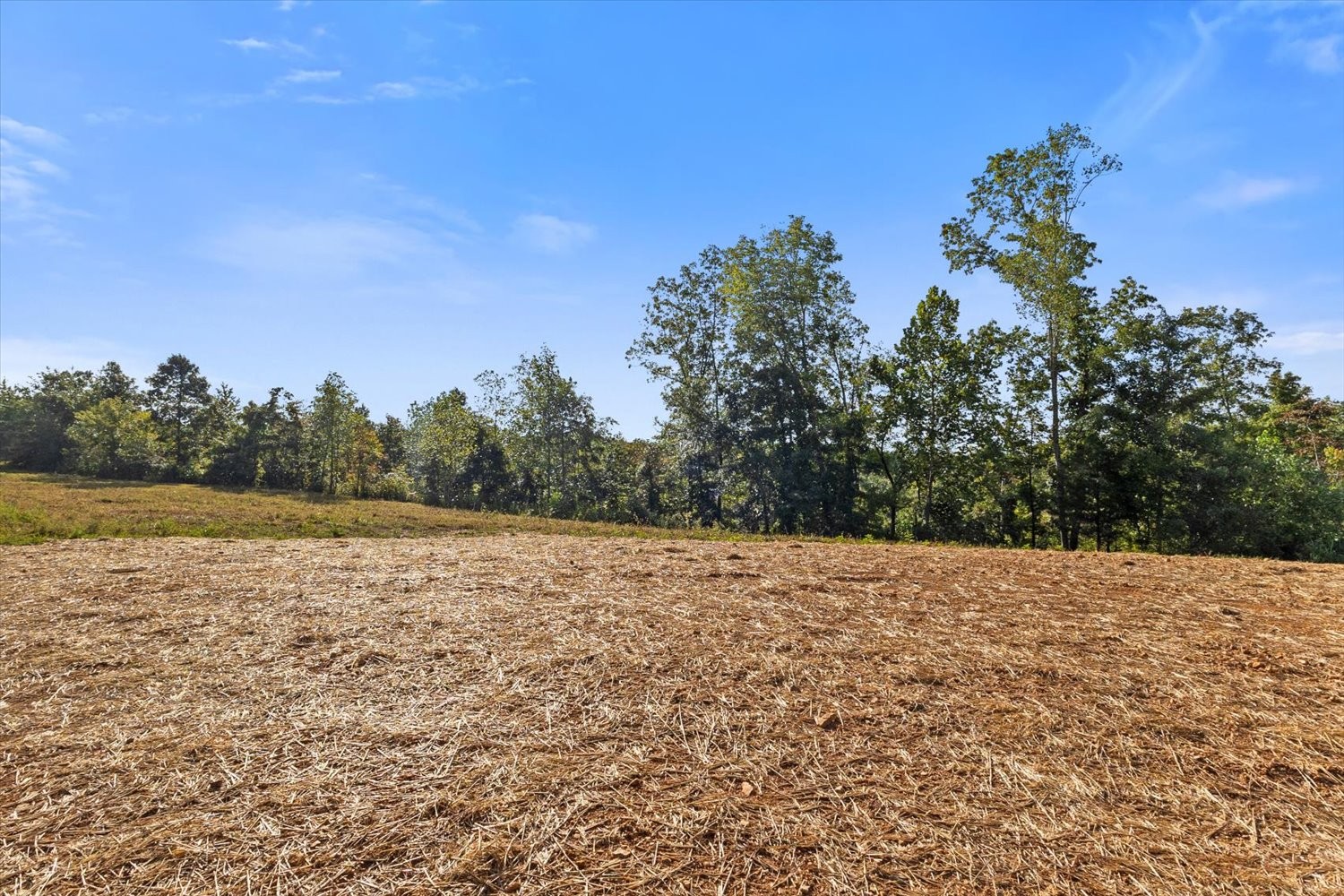 0 Kro Hollow Road Hohenwald, TN 38462 - Photo 28 of 35 Gallery Image 28