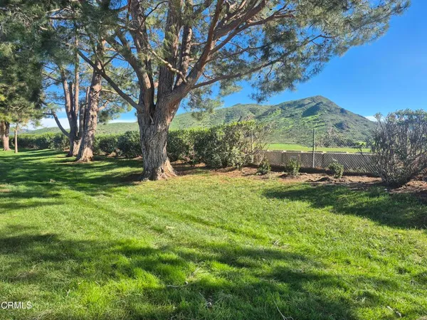 a view of outdoor space with green field and trees