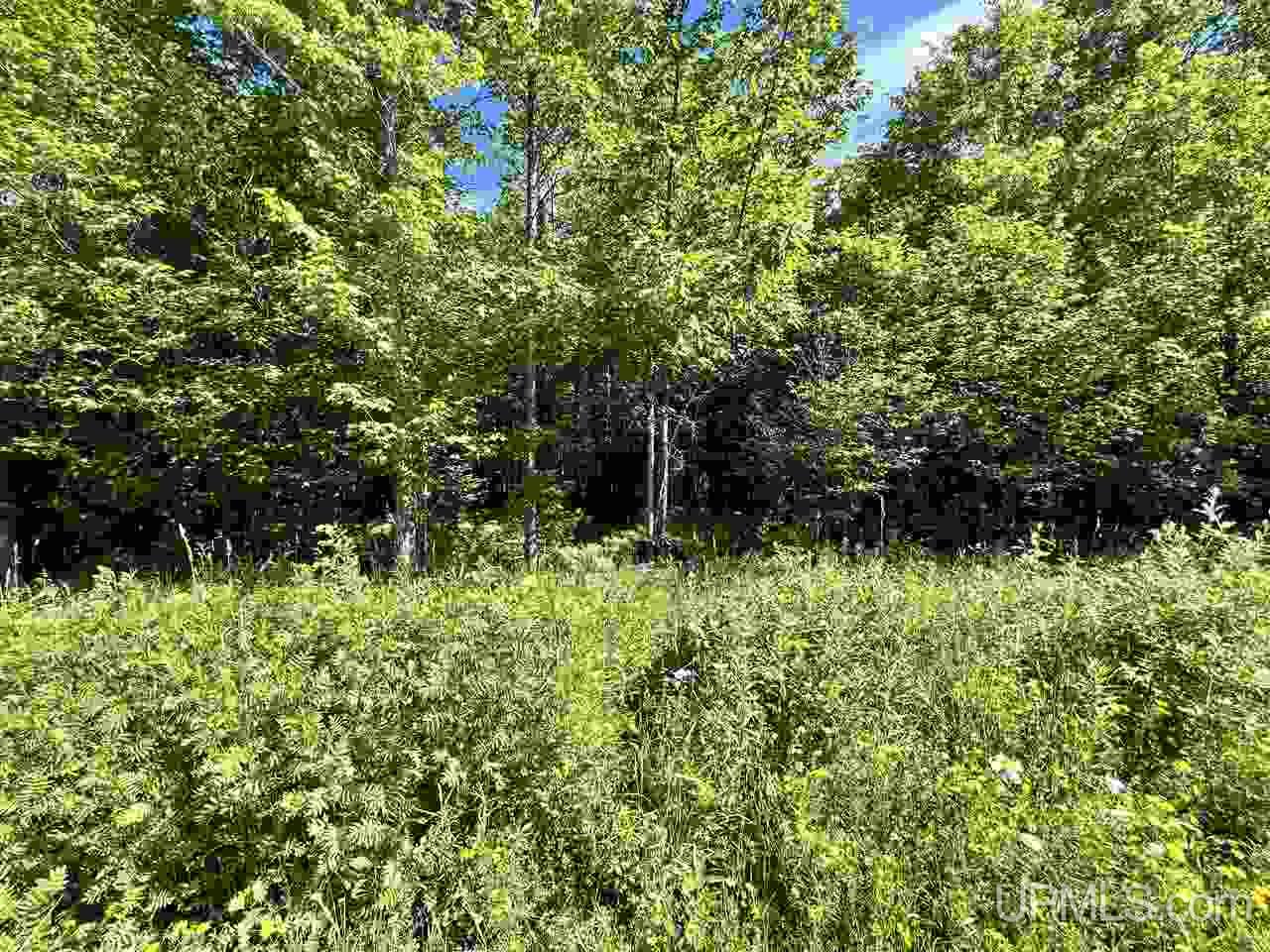 Tbd Pirkola Road Watton, MI 49970 - Photo 23 of 29