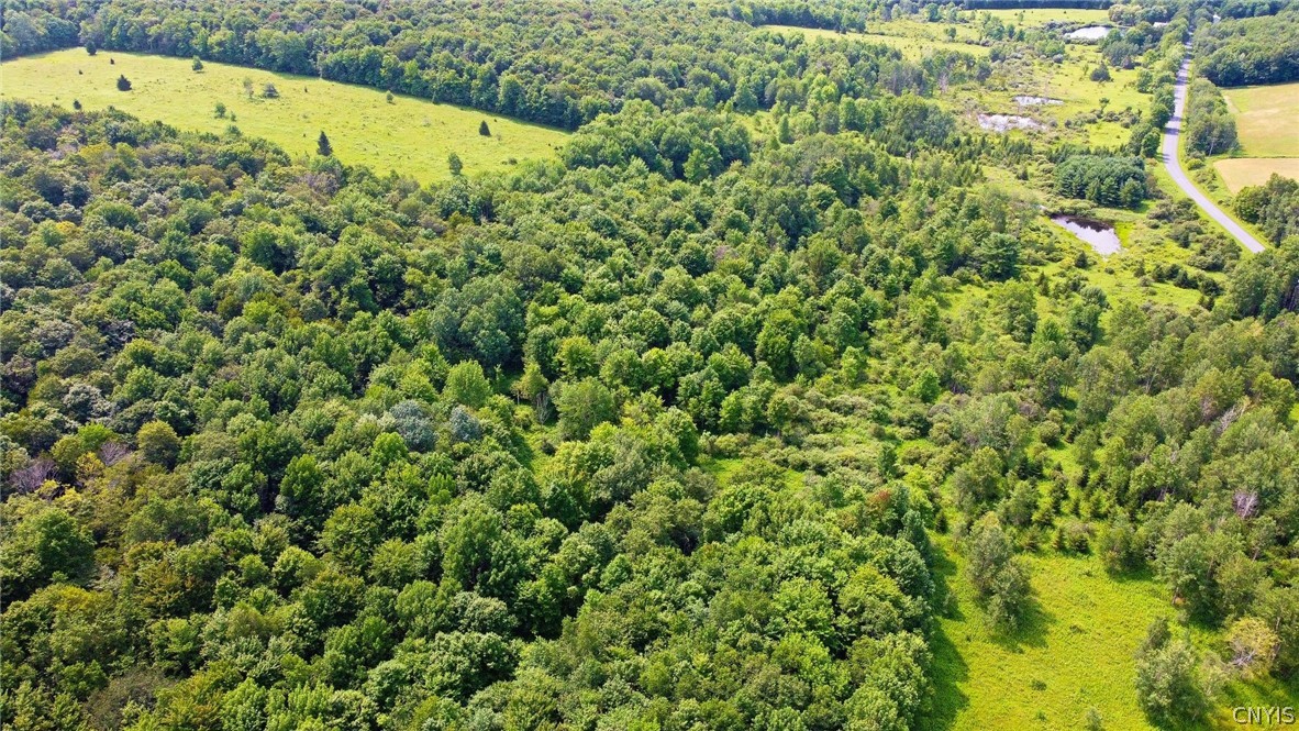 Lot A Pitcher Hill Road Pitcher, NY 13136 - Photo 2 of 13 Gallery Image 2