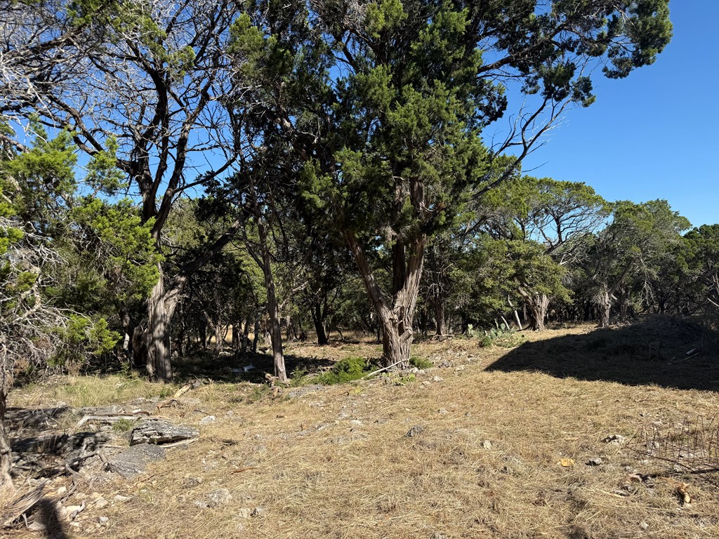 610 Leroy Road Kerrville, TX 78028 - Photo 11 of 28