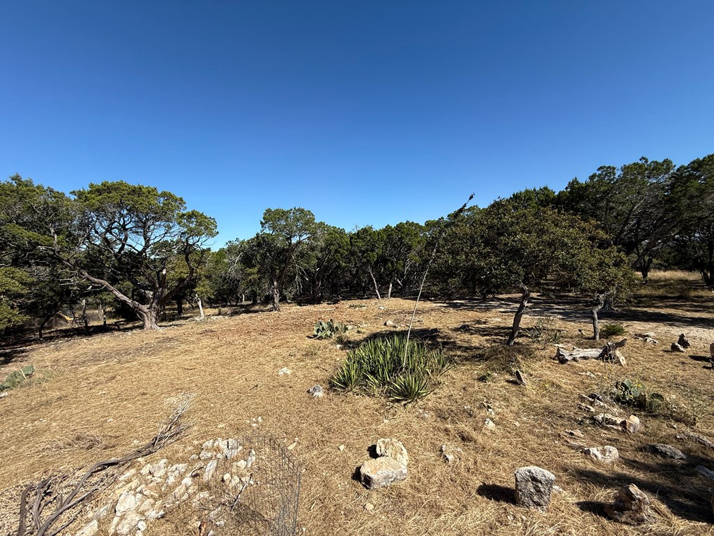 610 Leroy Road Kerrville, TX 78028 - Photo 14 of 28