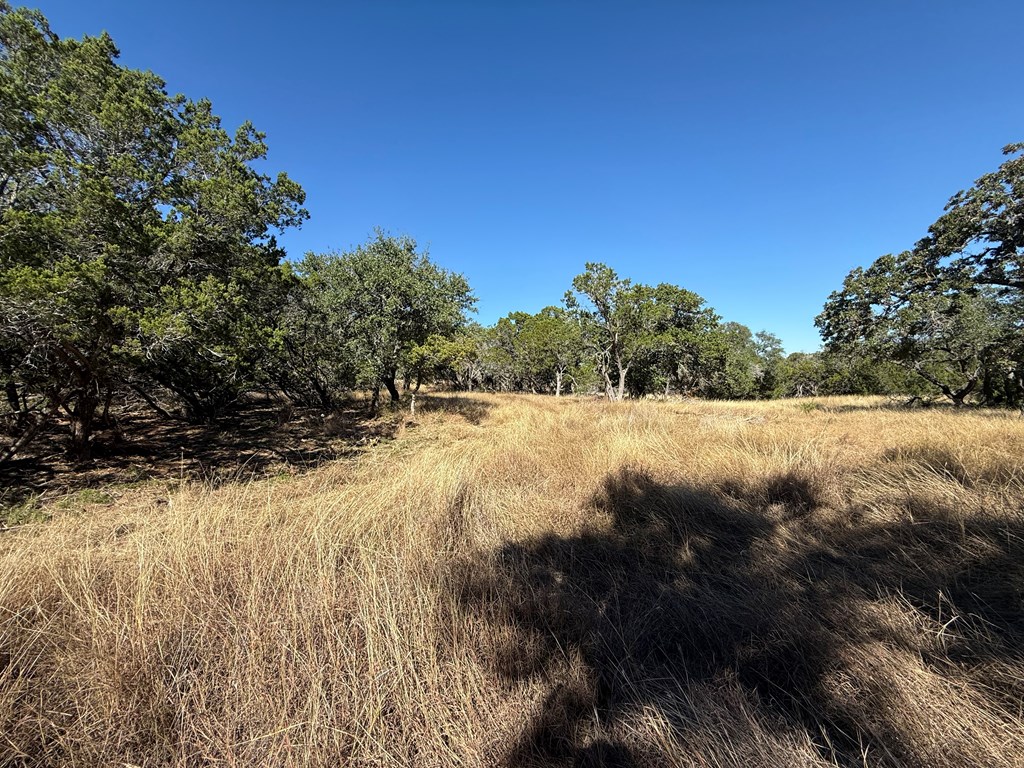 610 Leroy Road Kerrville, TX 78028 - Photo 2 of 28
