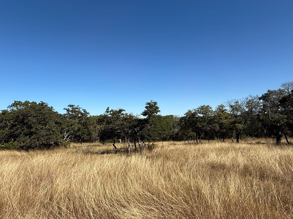 610 Leroy Road Kerrville, TX 78028 - Photo 5 of 28