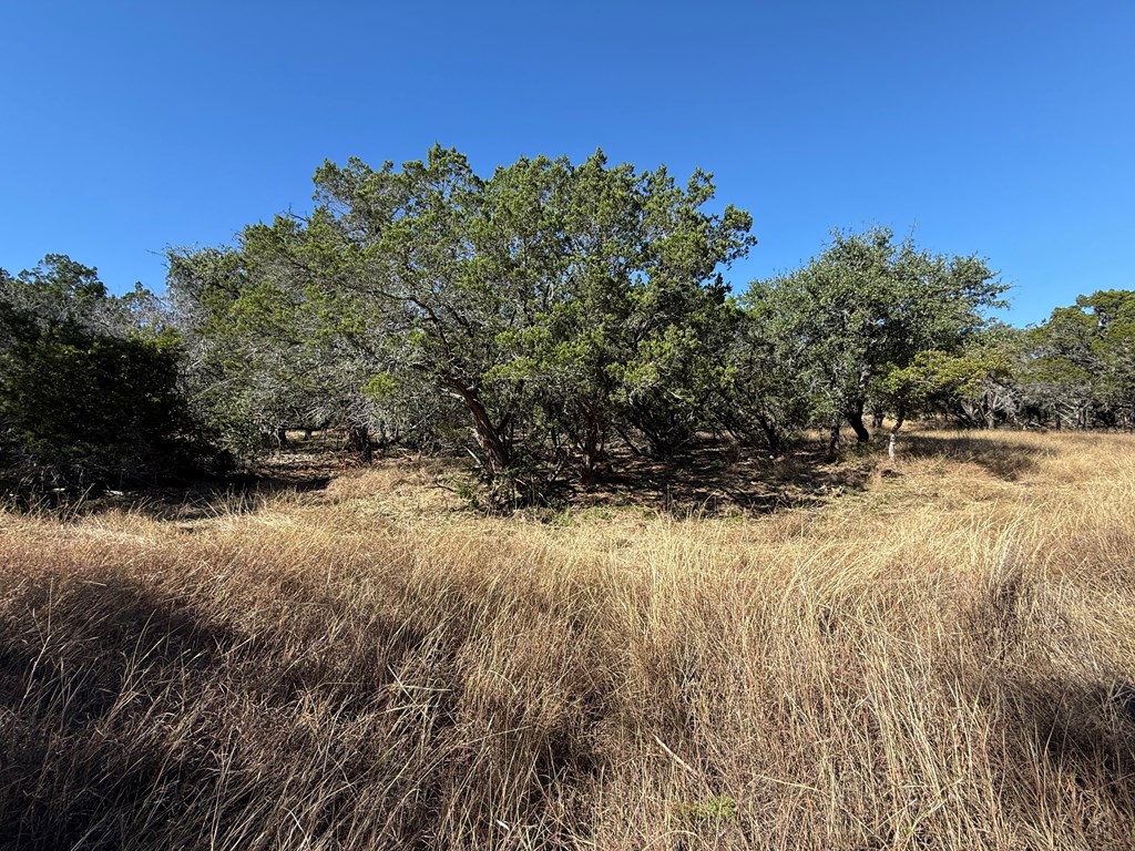 610 Leroy Road Kerrville, TX 78028 - Photo 6 of 28