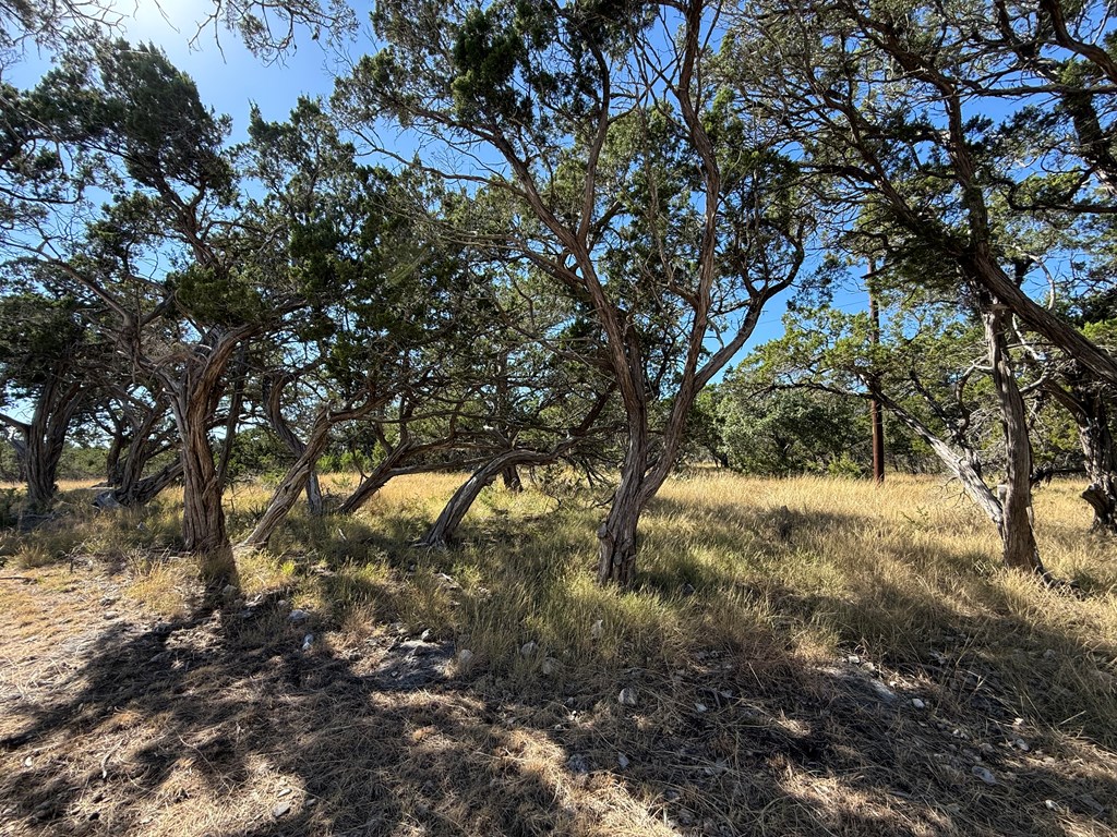 610 Leroy Road Kerrville, TX 78028 - Photo 7 of 28