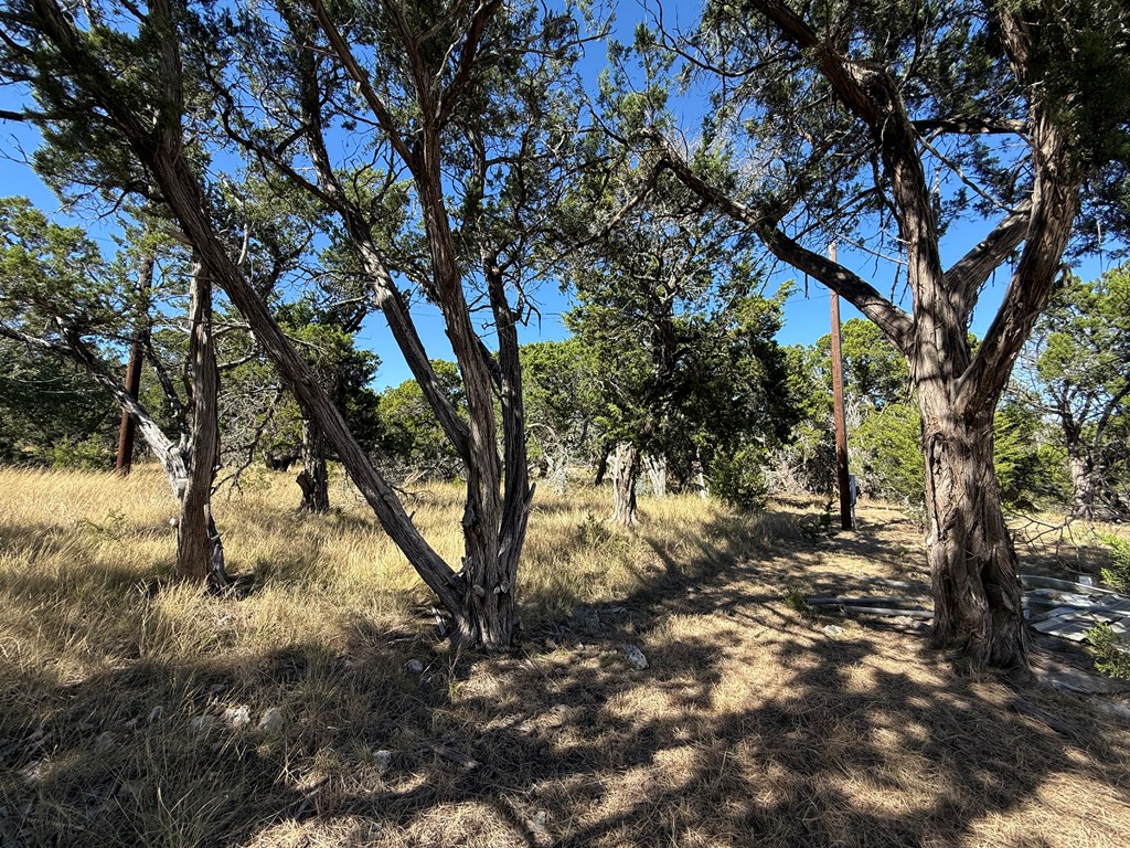 610 Leroy Road Kerrville, TX 78028 - Photo 8 of 28