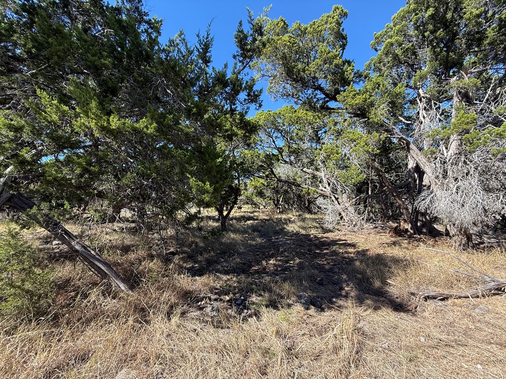 610 Leroy Road Kerrville, TX 78028 - Photo 9 of 28