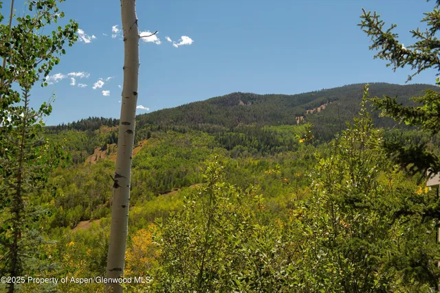 $45,000 | 64 Ermine Lane, Snowmass Village, CO 81615
