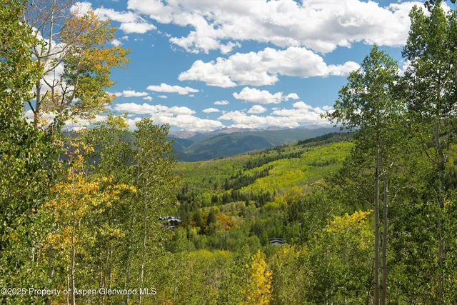 a view of a bunch of trees