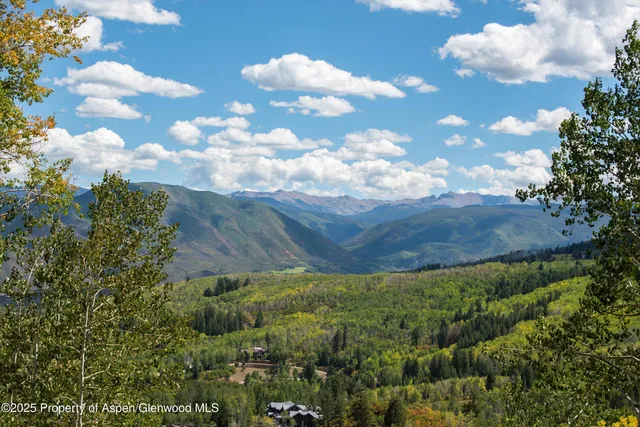 a view of a bunch of trees