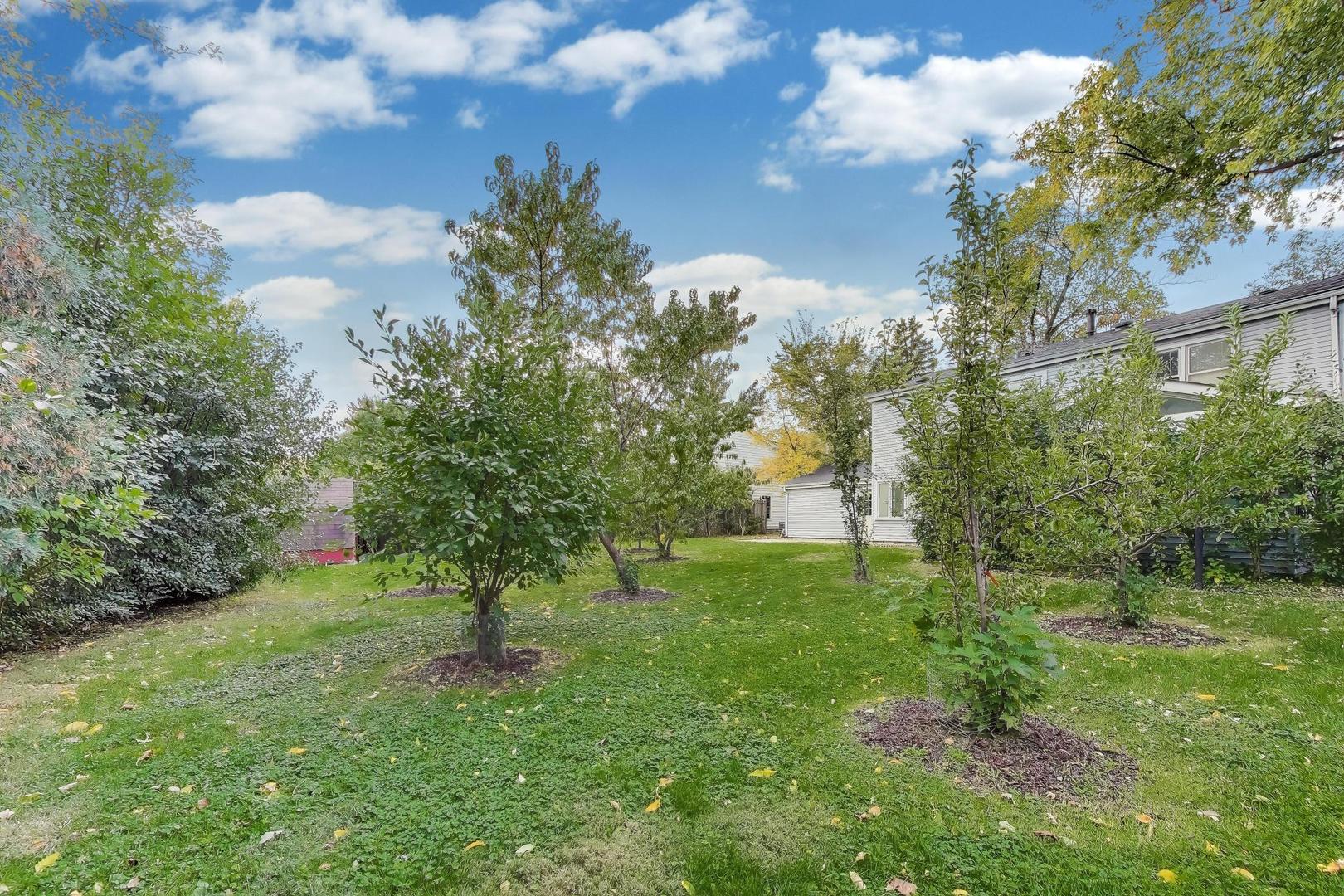 4053 Cumnor Road Downers Grove, IL 60515 - Photo 4 of 5