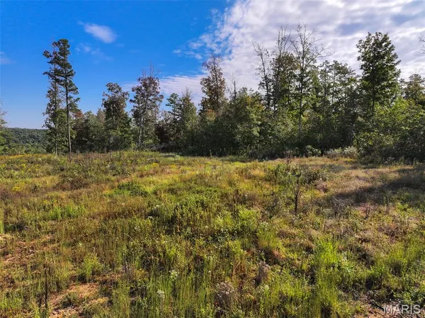 $77,830 | 0 Madison 410, Fredericktown, MO 63645