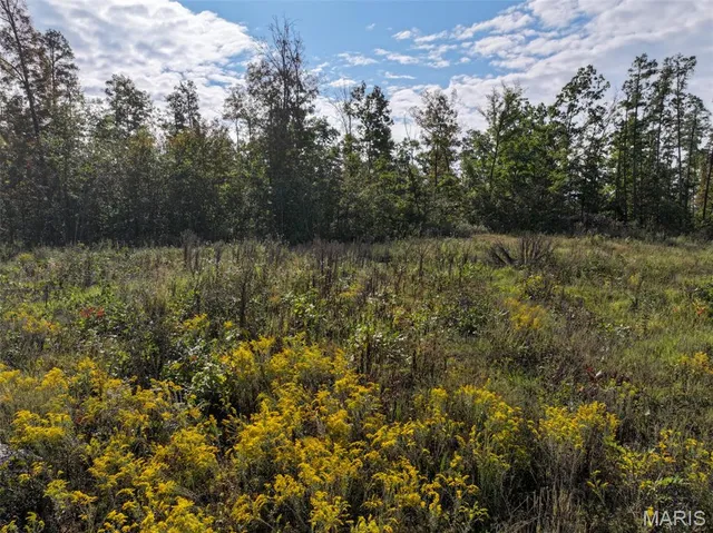 $77,830 | 0 Madison 410, Fredericktown, MO 63645