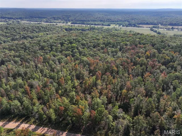 $77,830 | 0 Madison 410, Fredericktown, MO 63645