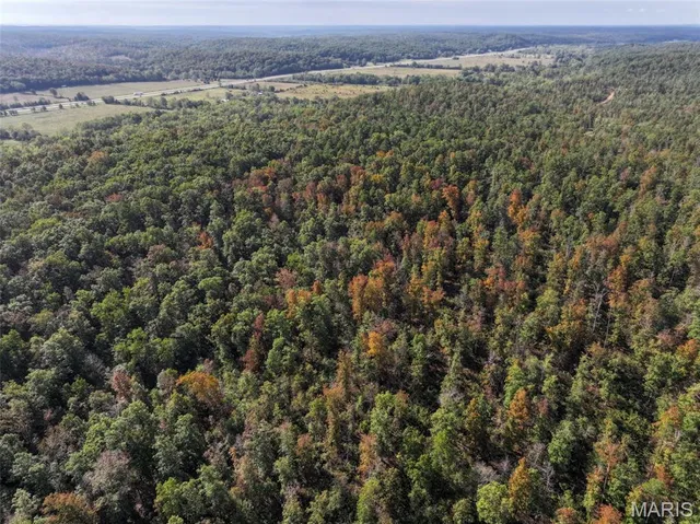 $77,830 | 0 Madison 410, Fredericktown, MO 63645