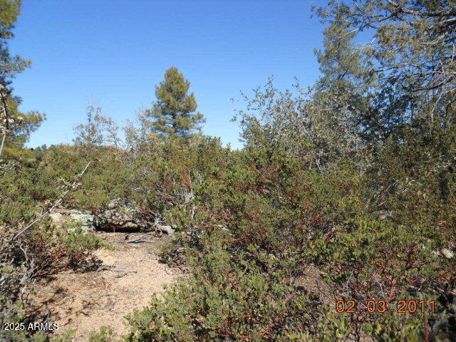 619 North Grapevine Drive, Unit 631 Payson, AZ 85541 - Photo 2 of 2 a view of a yard in a forest