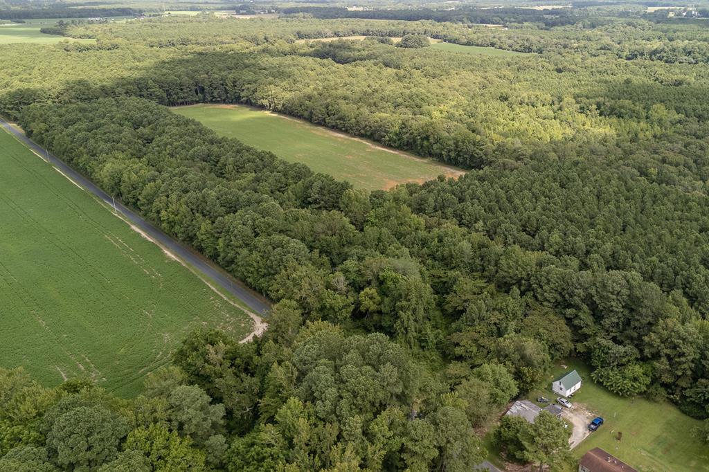 2.35-ac Whites Neck Road, Unit 10 Parksley, VA 23421 - Photo 1 of 4