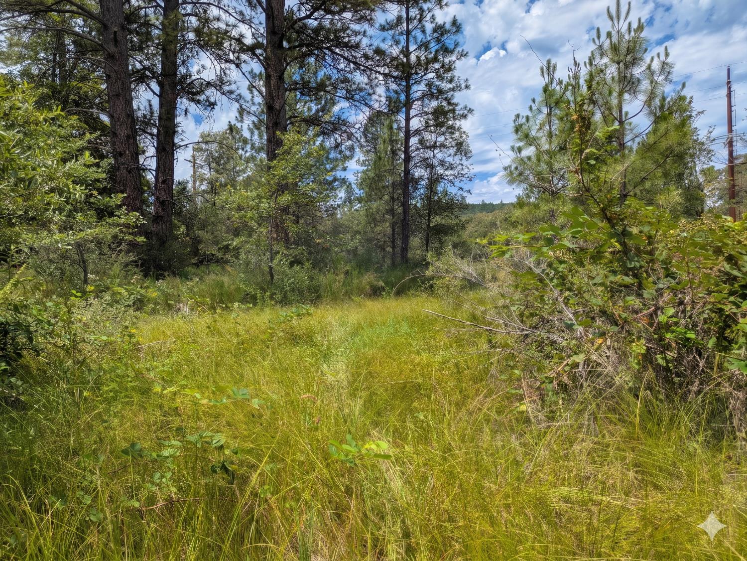 12998 Tyler Foote Road Nevada City, CA 95959 - Photo 9 of 33