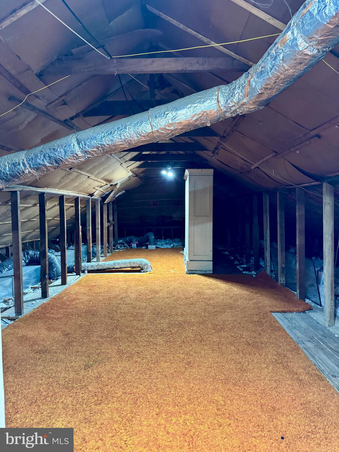 8233 Fairview Road Elkins Park, PA 19027 - Photo 28 of 38 Attic Storage Area