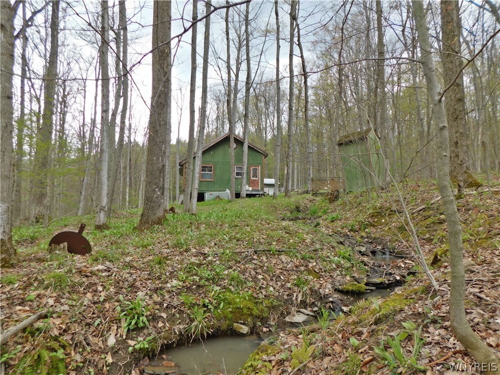 9705 White Meeting House Road Cuba, NY 14727 - Photo 7 of 25