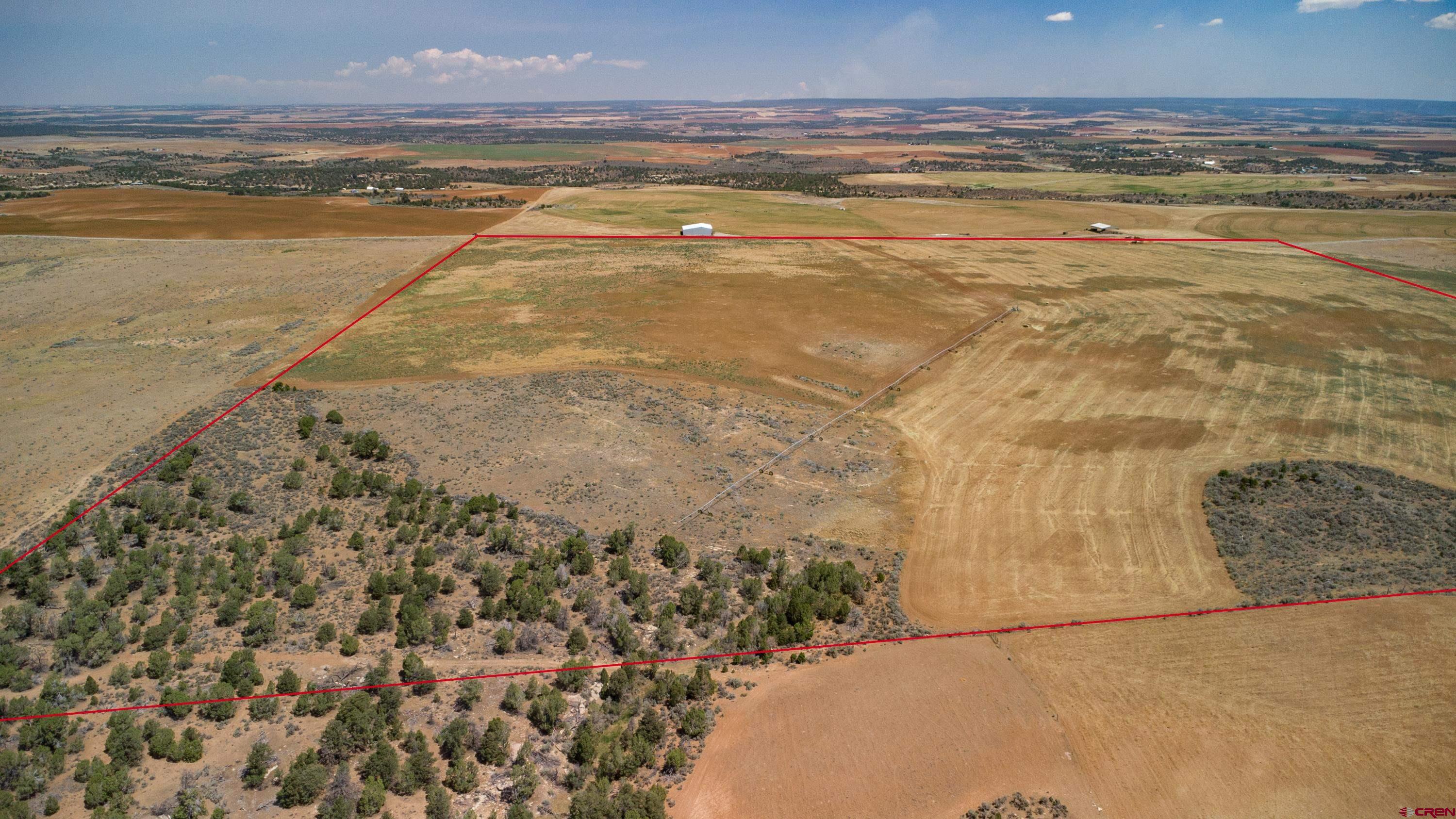Tbd Tbd Road Pleasant View, CO 81331 - Photo 9 of 17