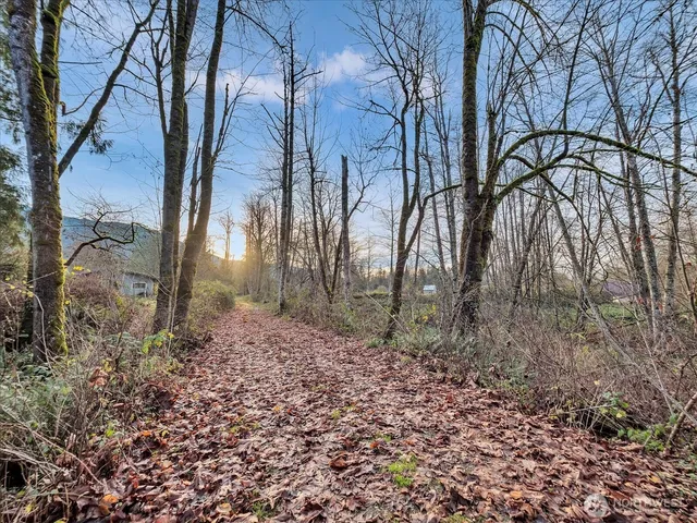 a backyard of a house with lots of green space