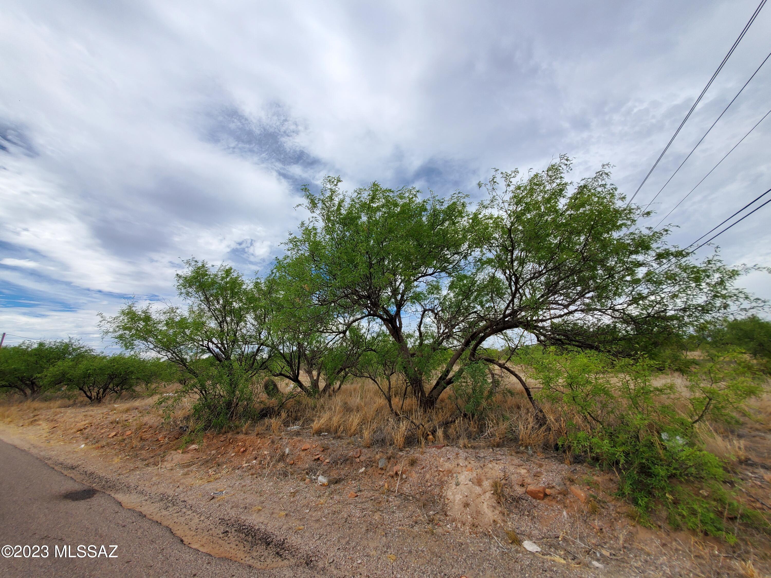 981 Camino Estrella, Unit 198 Rio Rico, AZ 85648 - Photo 7 of 11