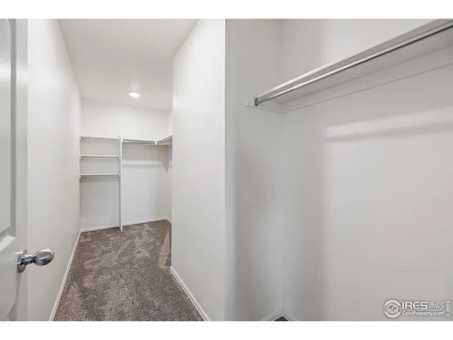 a spacious bedroom with a bed a couch and a potted plant