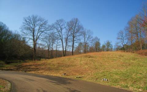 Lot 2 Hwy 5 Blue Ridge Ellijay, GA 30536 - Photo 1 of 1 Main View
