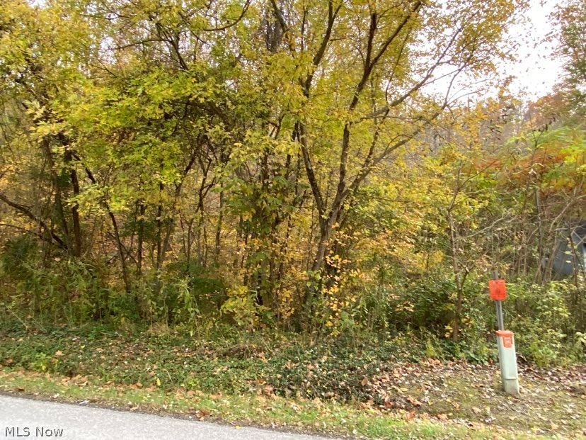 Muskingum River Road Lowell, OH 45744 - Photo 20 of 22