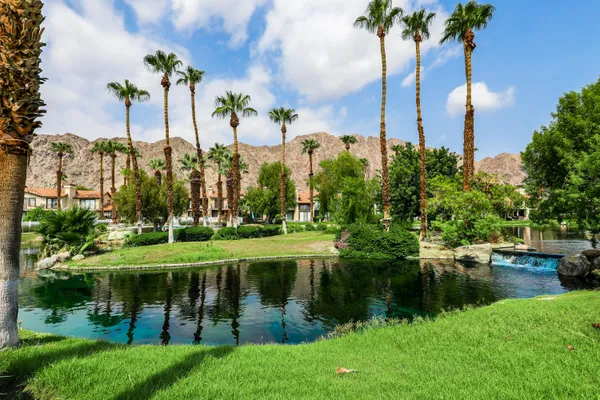 a view of a lake with a palm trees