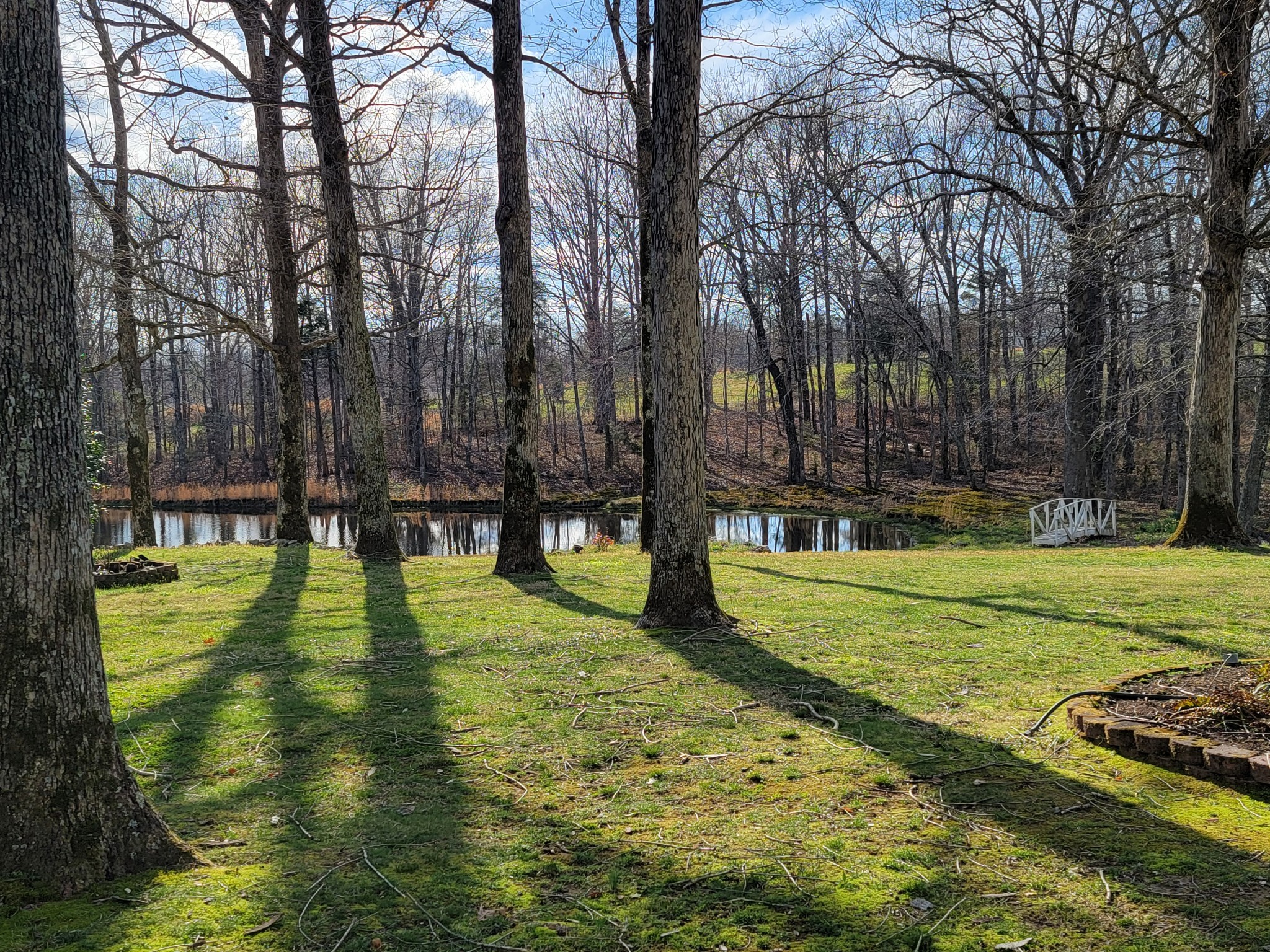 791 Jason Chapel Road Dickson, TN 37055 - Photo 3 of 27 a swimming pool with trees in the background